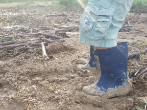Une terre argileuse peut contenir beaucoup d'eau et sèche lentement !