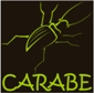logo CARABE